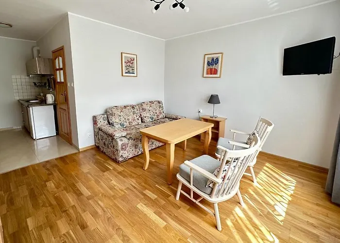 民宿 Alex - I Blisko Plazy Z Ogrodem I Placem Zabaw 奥斯特罗沃