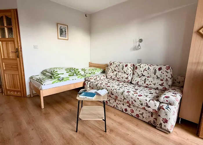 民宿 Alex - I Blisko Plazy Z Ogrodem I Placem Zabaw 奥斯特罗沃